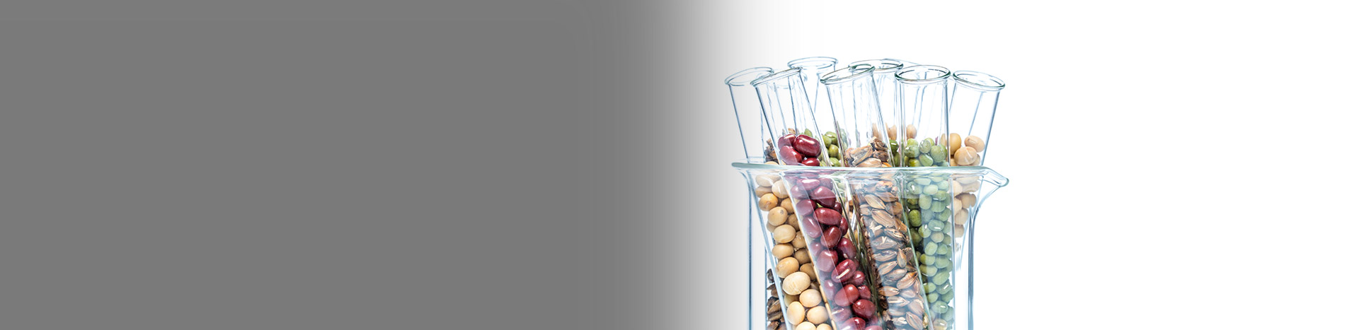 Nutigenética - DNA Diet