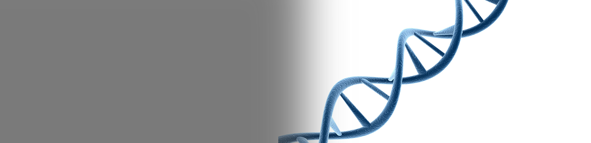 Nutrigenética - DNA Health - Especialistas Nutrição Allure