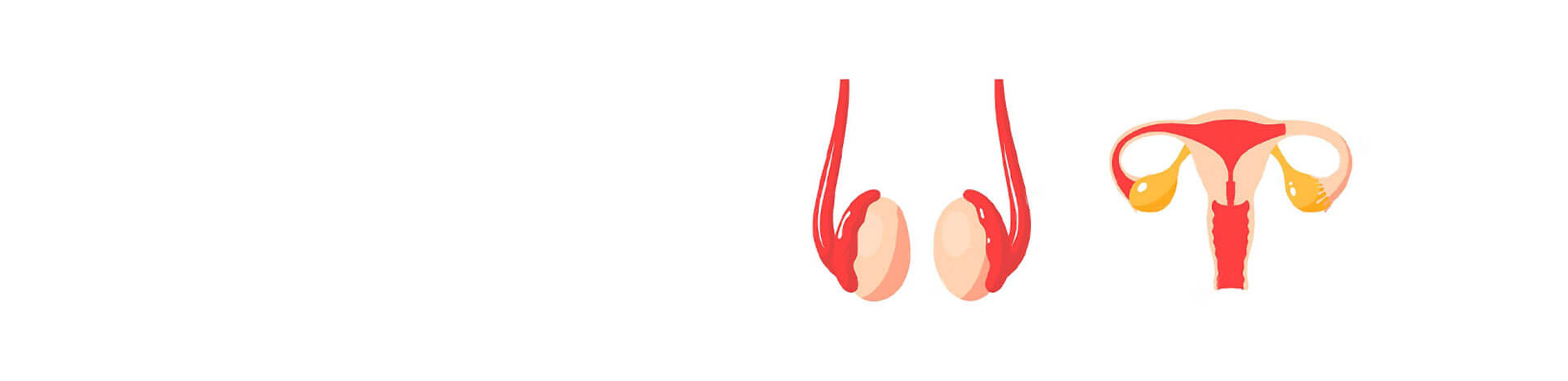 Patologia das gónadas (ovário/ testículo)? Dra. Jooana Menezes - Allure CLinic -Clínica Porto